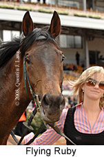 Flying Ruby (18507 bytes)