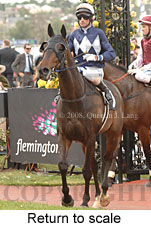 Return to scale (17769 bytes)