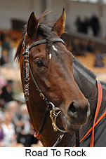 Road To Rock (18507 bytes)