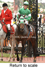 Return to scale (17769 bytes)