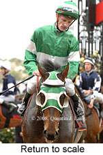 Return to scale (17769 bytes)