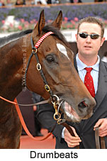 Drumbeats (18507 bytes)