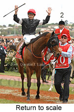 Return to scale (17769 bytes)