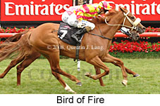 Bird Of Fire (18507 bytes)