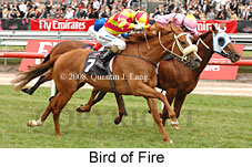 Bird Of Fire (18507 bytes)