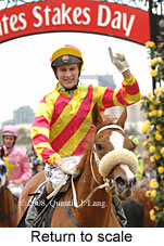 Return to scale (17769 bytes)