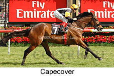 Capecover (18507 bytes)