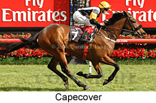 Capecover (18507 bytes)