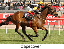 Capecover (18507 bytes)