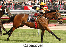 Capecover (18507 bytes)