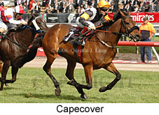 Capecover (18507 bytes)