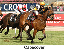 Capecover (18507 bytes)