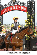 Return to scale (17769 bytes)