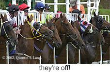 r1start.jpg (12372 bytes)