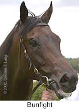 r2bunfight2.jpg (7230 bytes)