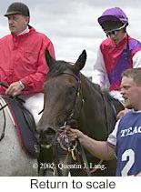 r2rtosc.jpg (9762 bytes)