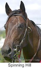 r5spinninghill3.jpg (7857 bytes)