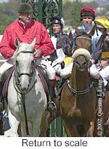 r6rtosc.jpg (11680 bytes)