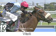 r6vitelli.jpg (9850 bytes)