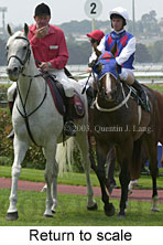 Return to scale (14808 bytes)