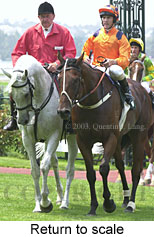 Return to scale (17910 bytes)