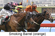 Smoking Barrel (15886 bytes)