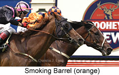 Smoking Barrel (17918 bytes)