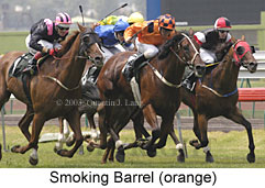 Smoking Barrel (19337 bytes)