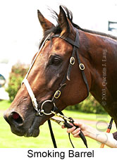 Smoking Barrel (14494 bytes)