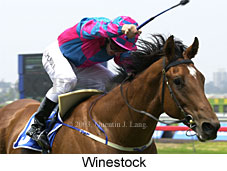 Winestock (14975 bytes)