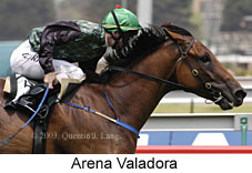 Arena Valadora (13563 bytes)