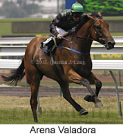 Arena Valadora (13857 bytes)