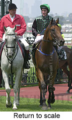 Return to scale (15229 bytes)