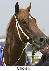 Choisir (11122 bytes)