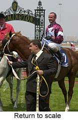 Return to scale (16246 bytes)