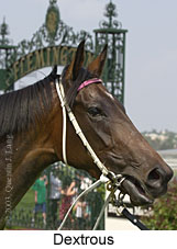 Dextrous (12900 bytes)
