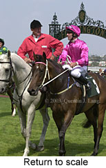 Return to scale (15356 bytes)