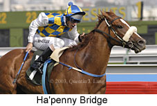 Ha'penny Bridge (14566 bytes)