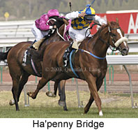 Ha'penny Bridge (16134 bytes)