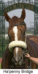 Ha'penny Bridge (12010 bytes)