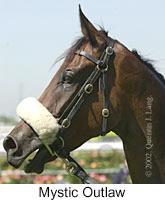 r1mysticoutlaw3.jpg (7387 bytes)