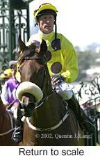 r1rtosc.jpg (10379 bytes)