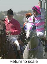 r2rtosc.jpg (9357 bytes)