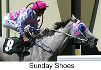 r2sundayshoes.jpg (9198 bytes)