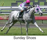 r2sundayshoes2.jpg (9422 bytes)