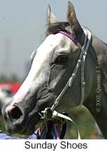 r2sundayshoes3.jpg (8282 bytes)