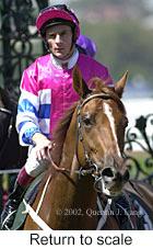 r3rtosc.jpg (10557 bytes)