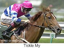 r3ticklemy.jpg (11459 bytes)