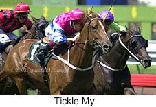 r3ticklemy2.jpg (11350 bytes)