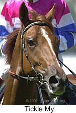 r3ticklemy3.jpg (10705 bytes)